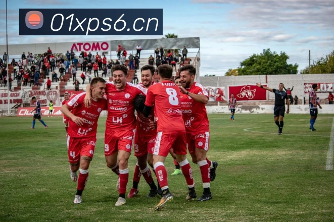 开云官方在线入口平台生态图